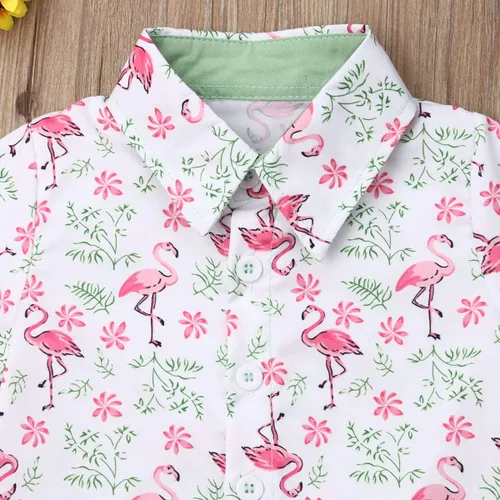 Miniatura 94 de Conjunto de camisa de manga corta con botones y pantalones cortos casuales con diseño de flamingo, para bebés y niños de 1 a 6 años, atuendos