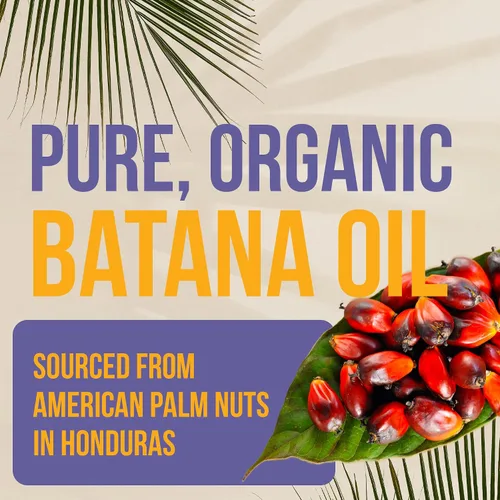 Miniatura 7 de Vie Naturelle Batana Oil Champú para el crecimiento del cabello, champú para la pérdida de cabello para hombres y mujeres con aceite de batana puro