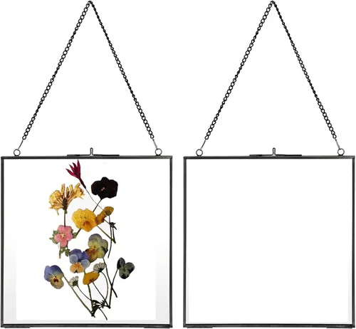 JUXYES Paquete de 2 marcos cuadrados de latón para colgar en la pared para flores prensadas, marco de exhibición de ilustraciones de doble vidrio,