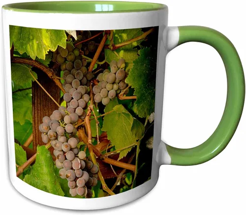 Miniatura 8 de 3dRose Danita Delimont – Vineyards – Estados Unidos, Oregón, Keizer, Pinot Gris Vineyard – US38 RBR0729 – Rick A Brown – Tazas, Negro/Blanco