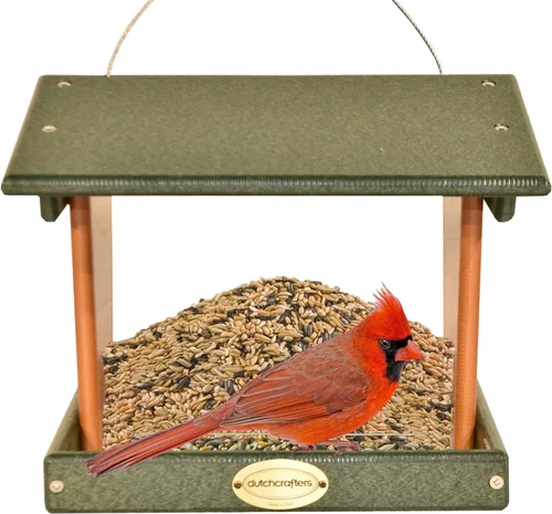 Miniatura 16 de DutchCrafters Comedero grande de plástico colgante para pájaros – Comedero para pájaros con tolva cubierta de polietileno para aves silvestres al