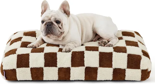 Miniatura 17 de LE SURE - Cama pequeña para perro con espuma triturada gruesa, cama para interiores con funda afelpada extraíble y base antideslizante, verde