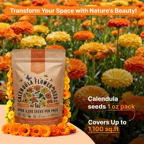 Miniatura 4 de Paquete de semillas de caléndula 1 oz - Más de 3,250 semillas de caléndula criollas sin OMG para plantar en jardinería interior y exterior, semillas