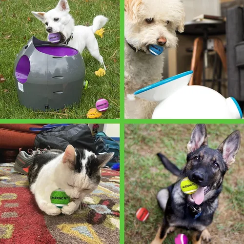 Miniatura 4 de Pelotas de tenis para perros XS Pelota de juguetes para perros de 1.5 pulgadas, paquete de 12, lanzadores de bolas de ajuste Pelotas de tenis