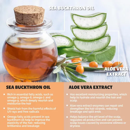 Miniatura 3 de Barra de champú hidratante con aceite de espino amarillo y extracto de aloe vera, vegano, sin sulfatos, sin ftalatos, sin parabenos, ecológico