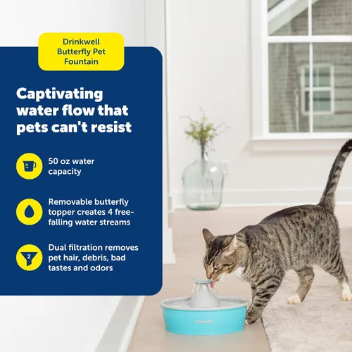 Miniatura 2 de PetSafe Fuente de agua Butterfly Cat con bomba y filtros, bonito dispensador de agua con capacidad de 50 onzas, bomba y filtros mantienen el agua