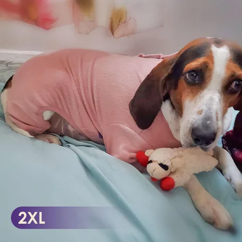 Miniatura 7 de cyeollo Pijamas para Perros de Forro Polar, Abrigo Térmico para Perros, Pijamas para Perros, Enterizo Elástico para Perros, Abrigo para Perrita, 3#
