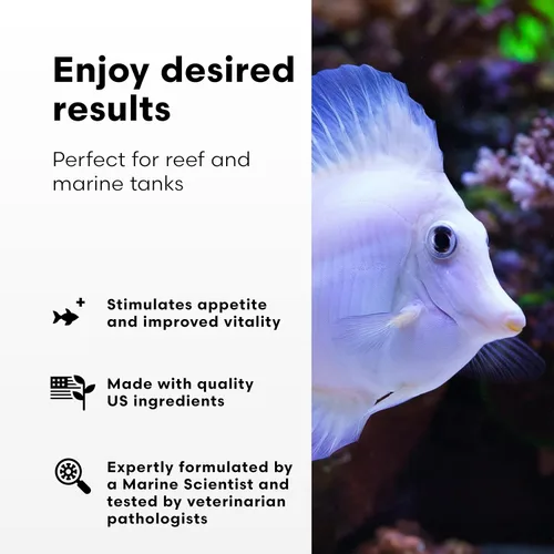 Miniatura 3 de Brightwell Aquatics GarlicPower Extracto de ajo para peces de acuario – Mejora la respuesta de alimentación – Aumenta la nutrición – Ideal