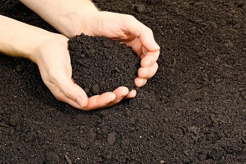 Miniatura 7 de Vermont Compost Company Fort Vee Organic Potting Mix Suelo a base de compost de alto contenido en nutrientes para interior y exterior, inicio