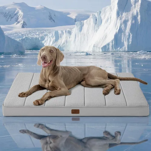 Miniatura 46 de Bedsure Camas para Perros Tamaño Grande - Cómodas Camas Planas para Mascotas con Funda Lavable Extraíble, Alfombrilla de Espuma Ortopédica