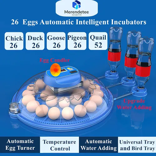 Miniatura 5 de Incubadora automática de 26-52 huevos Mejora la adición automática de agua Vista de 360 grados incubadoras para huevos para incubar Sin uso