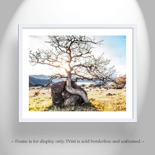 Miniatura 3 de Ashland Oregon Rogue Valley Nature Photography Wall Art Print