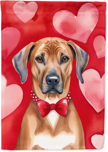 Miniatura 98 de Caroline's Treasures DAC5292CHF - Bandera de Border Collie My Valentine House para porche, grande, con manga para porche, para colgar en la pared