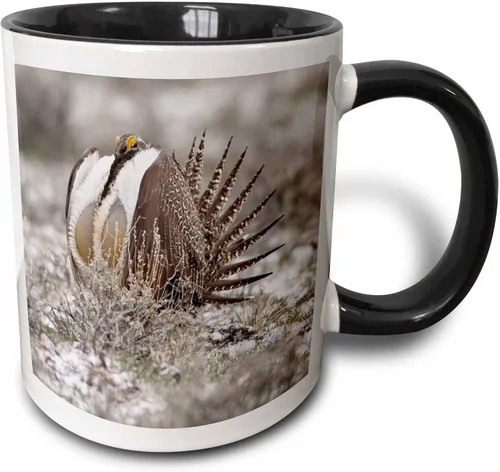 Miniatura 7 de 3dRose Taza de café, tamaño – 11oz – Faro de Cabo Blanco SP, Port Orford Oregon – US38 MGI0164 – Mark Gibson Lighthouses – divertido regalo de taza