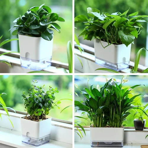 Miniatura 5 de Planterhoma Macetas de riego automático para plantas de interior de 4.3 pulgadas, 6 paquetes de macetas cuadradas de riego automático con orificio
