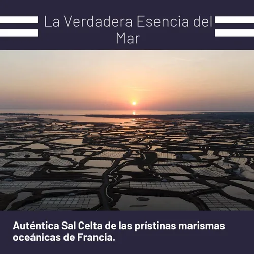Miniatura 7 de Le Marinier Sal marina celta orgánica molida fina, 1.1lb - 18oz. Rica en minerales. 100% natural y sin refinar. Sal marina francesa orgánica