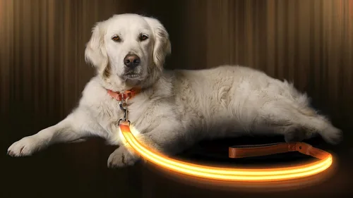LED correa del perro – Recargable por USB – disponible en 6 colores y 2 tamaños – hace que su perro visible, Safe & Seen, Anaranjado encendido