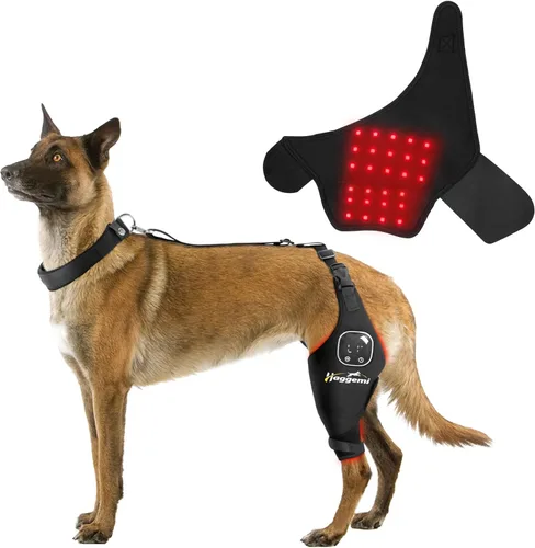 Rodillera para perros – Soporte para problemas de ligamento cruzado anterior y articulaciones de rodilla con terapia de luz infrarroja roja, alivio