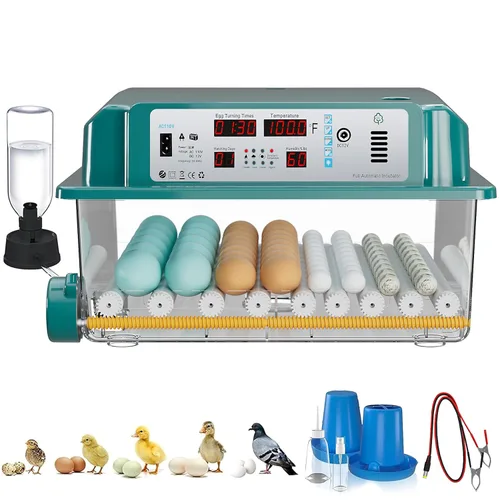 64 incubadoras de huevos para incubar huevos, incubadora con giro automático de huevos y humedad, incubadora de pollo con 5 modos de incubación