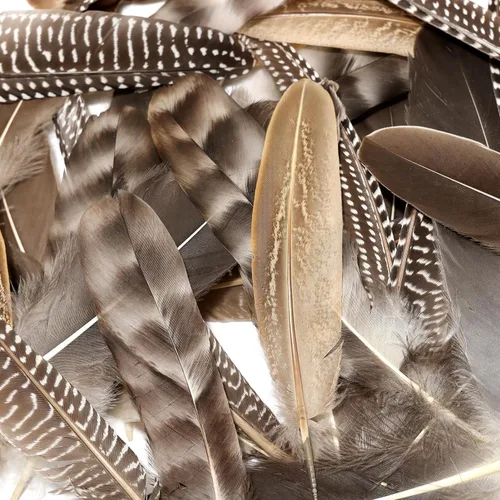 Miniatura 4 de THARAHT 24 plumas naturales manchadas de 4 estilos de plumas de ave de Guinea de 6 a 8 pulgadas a granel para manualidades, ropa, joyería