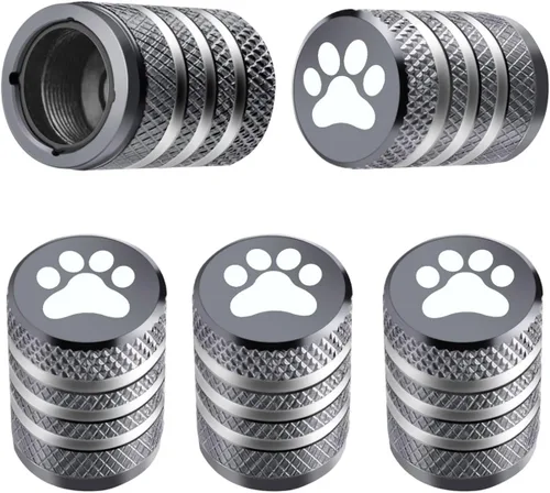 Tapones para vástago de válvula de neumático, 5 unidades, tapas de aire de metal con forro de plástico, resistentes a la corrosión, a prueba de Gris