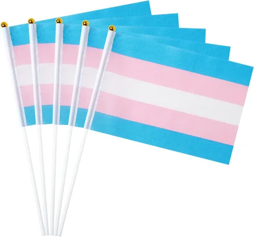 Miniatura 8 de GentleGirl Paquete de 12 banderas de arco iris del orgullo asexual, pequeñas banderas de mano gay LGBT Festival Fiesta Desfiles Decoraciones
