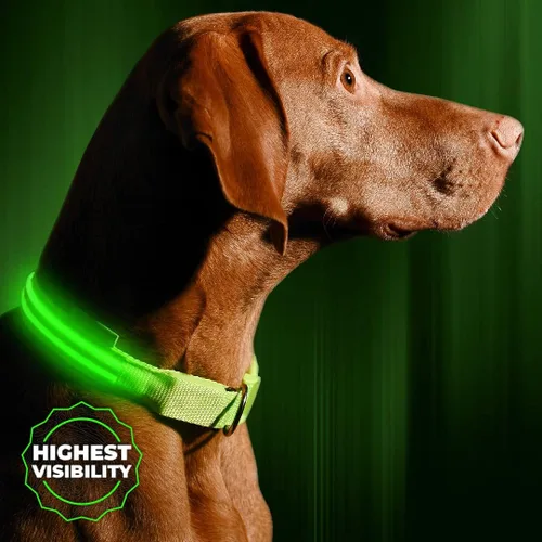 Miniatura 13 de Collar para perros LED Illumiseen, recargable por USB, Anaranjado encendido