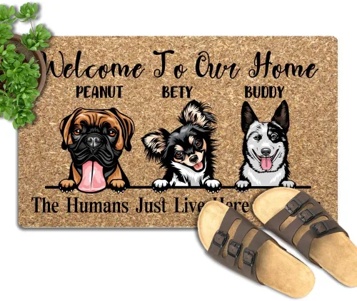 Miniatura 10 de Tapete para puerta de 30 x 18 pulgadas, nombre del perro cuando visitas la casa de mi perro, tapete personalizado de bajo perfil para interiores