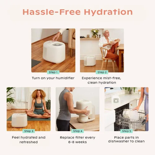 Miniatura 6 de Canopy Humidificador para Habitación Grande, Crema, Espacio de Vida Grande, Tiempo de Funcionamiento de 36 Horas, Tanque de 5.5L - Incluye