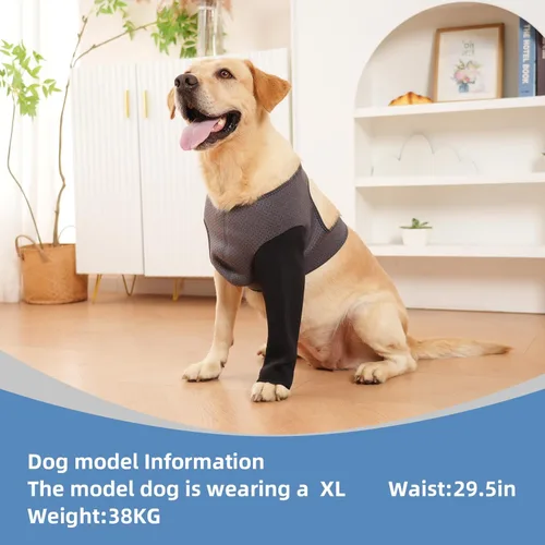 Miniatura 7 de Manga de recuperación para perro, traje de recuperación para perro, manga resistente a la abrasión, pierna delantera, lavable de 0.18 pulgadas