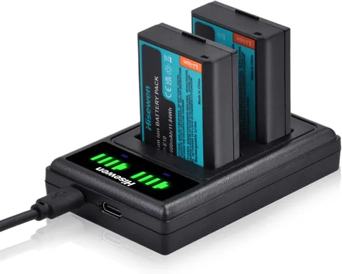 LP-E10 - Paquete de 2 baterías de 1600 mAh y cargador dual para Canon EOS Rebel T7 T6 T5 T3 T100 Kiss X90 X80 X70 X50 1100D 1200D 1300D 1500D 2000D