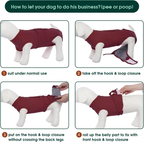 Miniatura 4 de Kuoser Traje de recuperación de cirugía para perros, traje de recuperación para perros machos hembras, mameluco para perro después de la cirugía