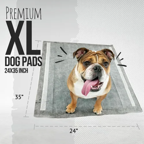 Miniatura 3 de Bulldoglogy Carbon Black XL Almohadillas para orina de perro para perros extra grandes con cinta adhesiva pegajosa - Almohadillas desechables