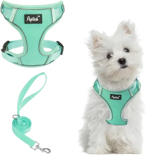 Miniatura 23 de PUPTECK Juego de arnés y correa para perro pequeño, arnés ajustable sin tirones para cachorro, chaleco de malla suave reflectante para mascotas