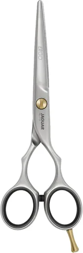 Jaguar Tijeras de peluquería Pre Style Ergo 6.0 pulgadas Tijeras profesionales de acero inoxidable para estilistas y barberos, aspecto de acabado