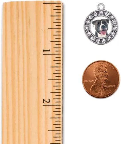 Miniatura 2 de Inspired Silver - Pendientes colgantes de gancho francés con dije de círculo de plata con joyas de circonita cúbica