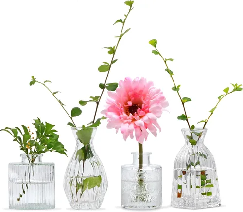 Mapoxy Juego de 4 Jarrones de Vidrio para Brotes, Pequeños Jarrones de Flores para Centros de Mesa de Boda y Decoraciones de Mesa, Mini Jarrones