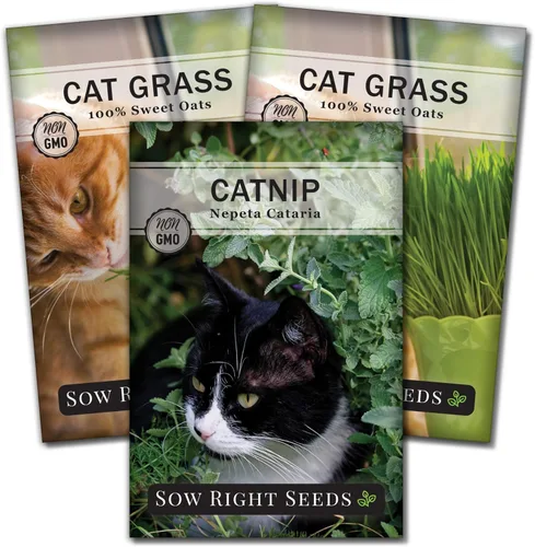 Sow Right Seeds - Colección de semillas de hierba gatera y hierba de gato para plantar en interiores o exteriores - Incluye hierba gatera popular y