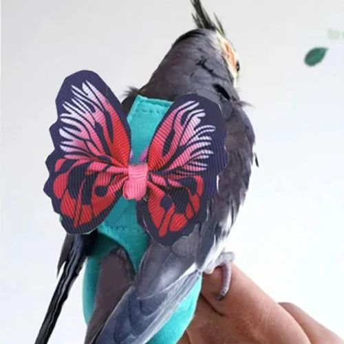 Miniatura 4 de Arnés de 2 piezas para pañales para pájaros con forro impermeable, ropa para pañales para pájaros con correa voladora, cuerda protectora para loros