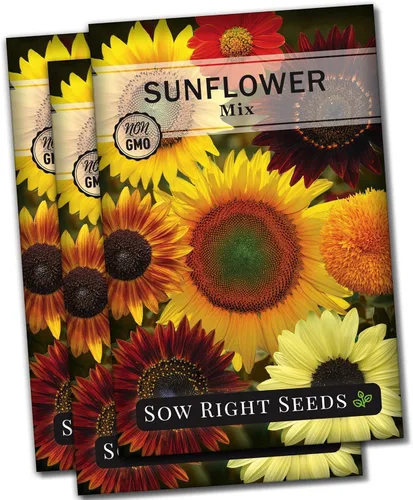 Sow Right Seeds - Semillas de girasol mixtas para plantar - Paquete de reliquia sin OMG con instrucciones (idioma español no garantizado) - Gran