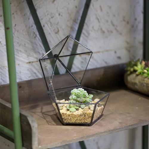 Miniatura 3 de NCYP Terrario geométrico de vidrio pequeño, contenedor cerrado en caja de joyas, maceta para suculentas, decoración de jardín para interiores