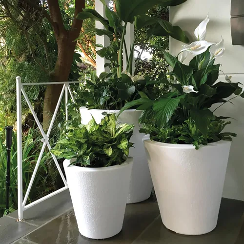 Miniatura 7 de Crescent Garden Maceta de autorriego para interiores y exteriores, negro caviar, 16 pulgadas, 20", Ceniza Fresno