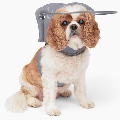 Miniatura 15 de Muffin's Halo® - El halo original para perro ciego Arnés y collar de parachoques accesorio para una navegación segura y confianza - Negro, talla 1