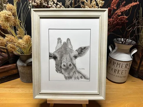 Giraffe Africa Nature Wildlife Graphite Pencil Art Sketch Drawing Print Picture Limited Edition ~ Titled 'Mighty High' by David Allen (11x14 White