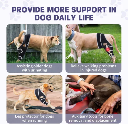 Miniatura 2 de Rodillera para perros para todas las piernas, rodillera ajustable para perros desgarrados en la pierna trasera, mantiene las articulaciones