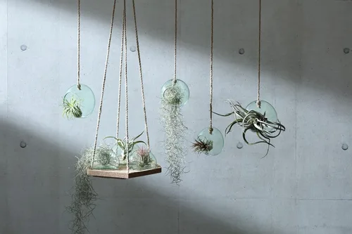 Miniatura 3 de LSA International Maceta de jardín cerrada de 6.5 pulgadas, jarrón moderno de vidrio reciclado hecho a mano de lujo con base abovedada y tapa