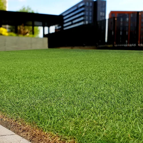 Miniatura 6 de Outsidepride Rescape Seashore Paspalum - Semilla de césped – 1 libra de temporada cálida, tolerante a la sal y la sequía, semillas de césped densas