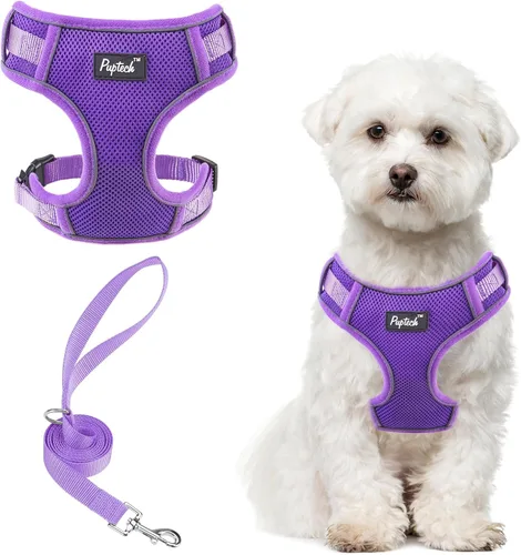 Miniatura 55 de PUPTECK Juego de arnés y correa para perro pequeño, arnés ajustable sin tirones para cachorro, chaleco de malla suave reflectante para mascotas