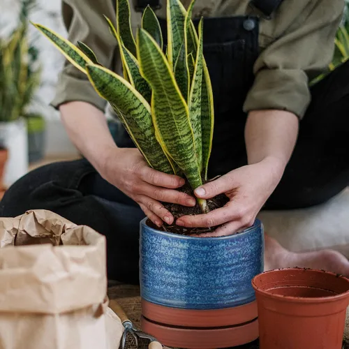 Miniatura 8 de HERDUK Macetas para plantas de 6 pulgadas, maceta de cerámica con orificio de drenaje y platillo, maceta cilíndrica redonda para Azul aguamarina