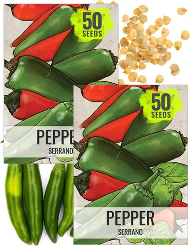 Seed Needs Semillas de pimiento picante para plantar chiles serranos, semillas de vegetales sin OMG y sin tratar para plantar un jardín vegetal